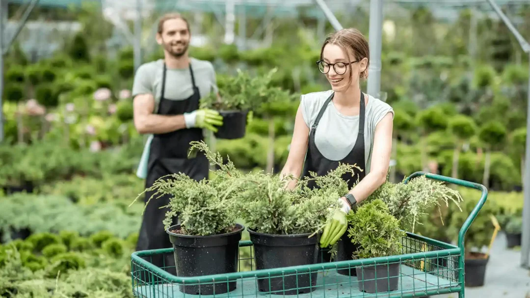 Two nursery specialists moving potted plants in a greenhouse, representing the cultivation and growth strategies Repeat Digital provides for garden retail brands.