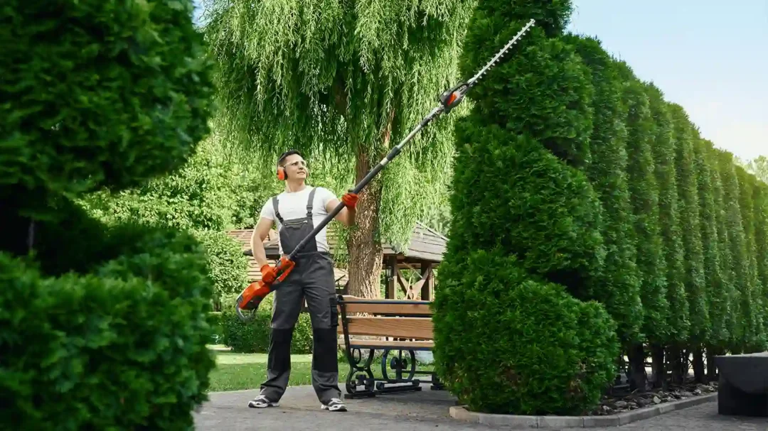 A professional gardener using a long-reach trimmer to maintain a tall hedge, representing Repeat Digital's expertise in nurturing home and garden brands to achieve sustainable growth.